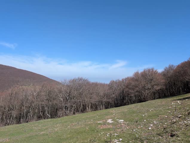 Mountain landscape with green meadow, tree-lined mountain and mountain range in the background under a partly cloudy sky