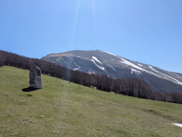 Mountain landscape with green meadow, tree-lined mountain and mountain range in the background under a partly cloudy sky
