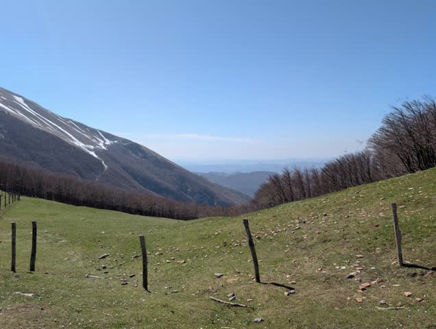 Mountain landscape with green meadow, tree-lined mountain and mountain range in the background under a partly cloudy sky