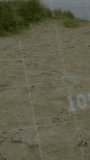 Vertical video: Translucent AR grid scanning sand path, dune grass on camera approach showing data. Lattice, overlay, footprints, horizon, coastal, shoreline, vertical video - Powered by Shutterstock - Get 15% off with code: PIKWIZARD15
