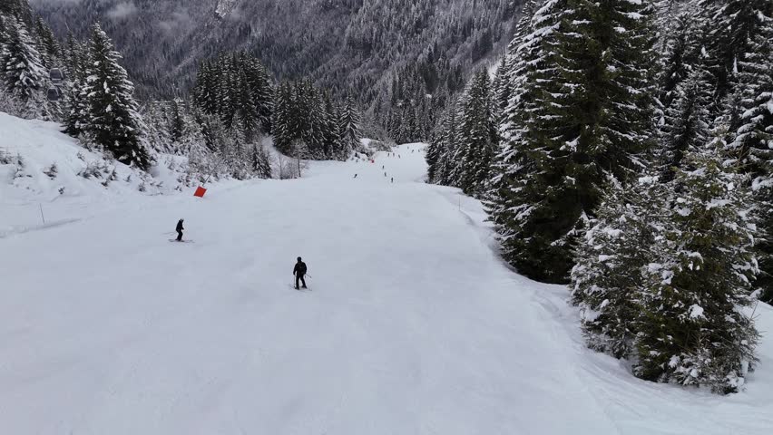 Avoriaz Ardent Portes du Soleil ski track near Montriond in France during winter with the many snow covered pine trees, French Alps