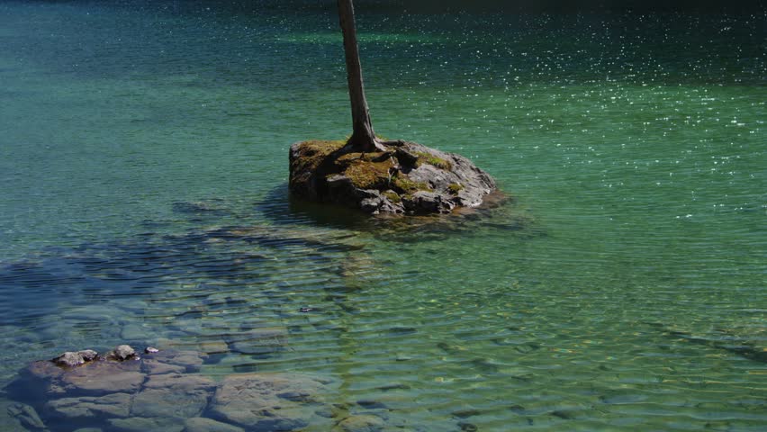 Rocky island with pine tree stands in the turquoise water of Hintersee, alpine landscape, Berchtesgaden.