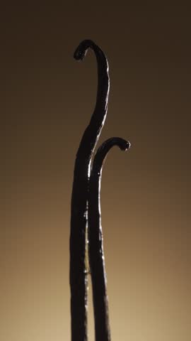 Vanilla pod with dripping glycerin on a dark brown background.