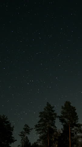 Star trails over forest night sky long exposure, rotating stars creating motion lines above tree silhouettes, vertical footage