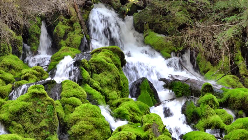 Beautiful Small Waterfall Cascading Down Vibrant Green Mossy Rocks in Forest