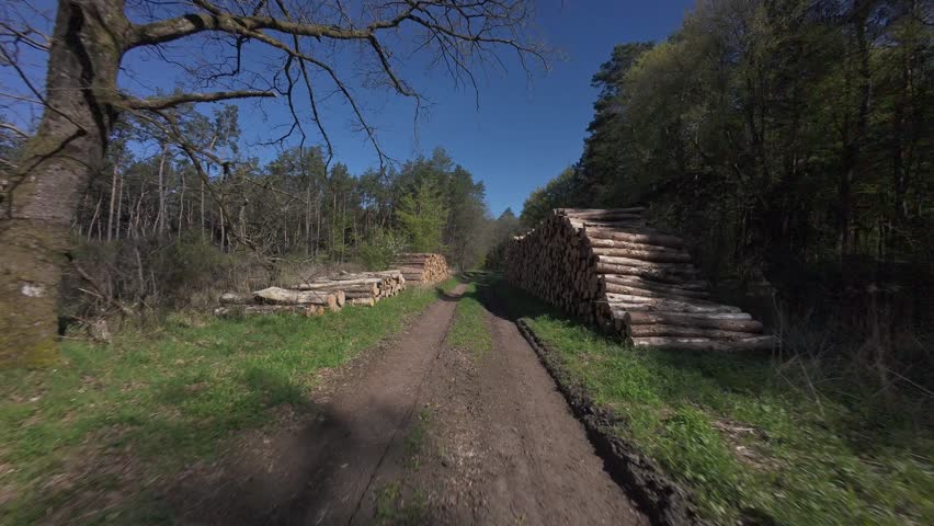Low-altitude FPV drone footage flying forward along a narrow dirt forest path flanked on both sides by large stacks of freshly cut pine logs. The symmetrical composition creates a natural corridor effect, with towering log piles framing the trail and a pine forest opening up in the background under a bright blue sky. The motion blur on the edges conveys the fast, immersive flight through this active logging site. Sunny spring conditions are visible through the fresh green foliage emerging between the trees.