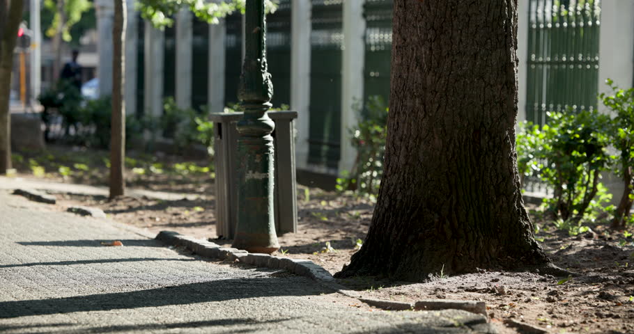 Tree trunk is staying right while people are entering from left passing fountain to reach park. Pedestrians, sidewalk, waterpump, sunlight, shadows, fence, urban