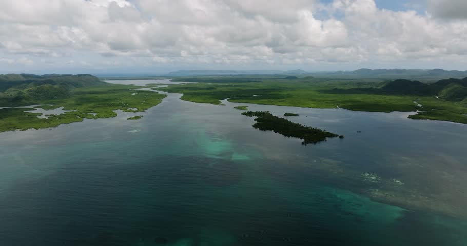 Green mangrove coastline extending into the turquoise tropical sea. Siargao, Philippines.