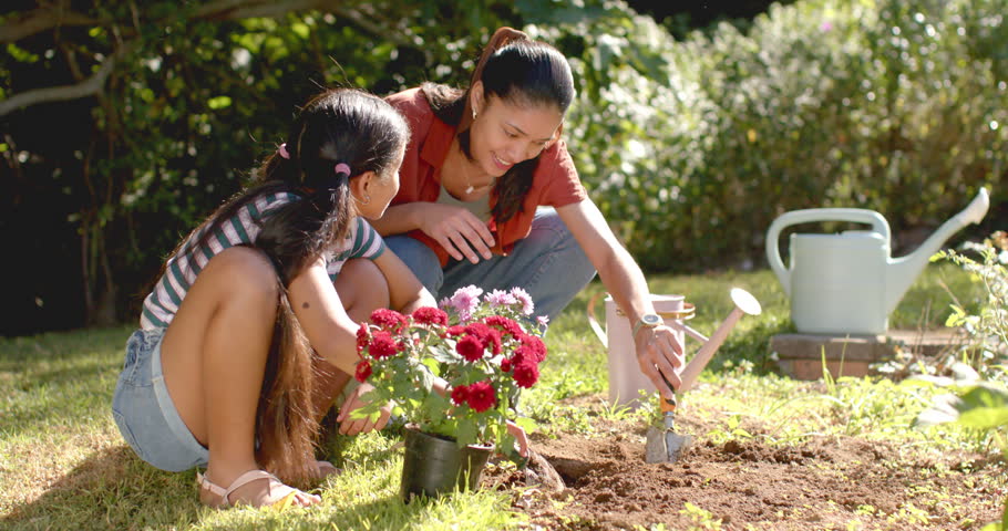 African American mother and daughter kneeling on lawn planting red flowers with trowel, pink can. Backyard, gardening, family, candid, sunlit, nurturing, growth