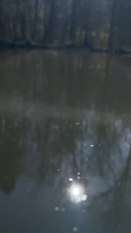 Lakeside view with cabin on bank and trees reflected in calm water vertical outdoor clip captures shorelines, dock area, mirrored forest canopy and tranquil rustic retreat mood