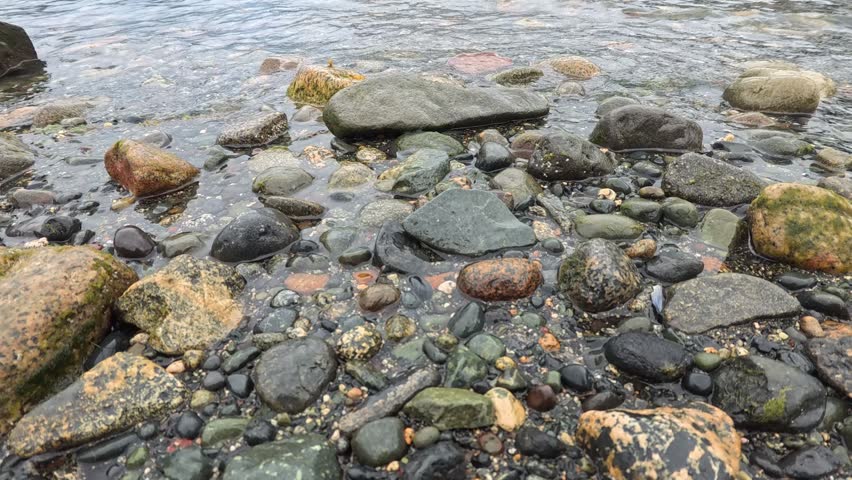 Haines - Alaska - USA - April 21, 2024 - Close up detail of river stones and water along the shore. The various sizes and colors of the stones are visible.