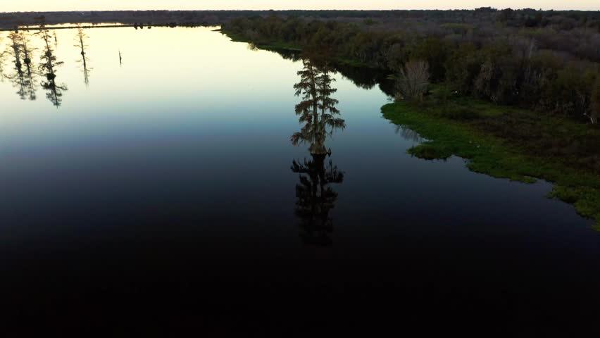 A lone tree stands in the still waters of Lake Hancock, creating a mirror-like reflection. Ideal for nature documentaries or serene landscape features.