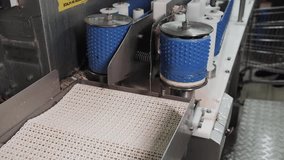 Automated Fish Processing: Industrial Seafood Preparation Line. - Powered by Shutterstock - Get 15% off with code: PIKWIZARD15