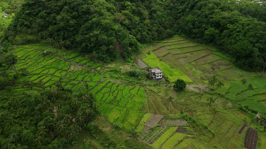Lush terraces ripple through green hills. Lone house sits amid the farmland. Trees frame the landscape in dense foliage.