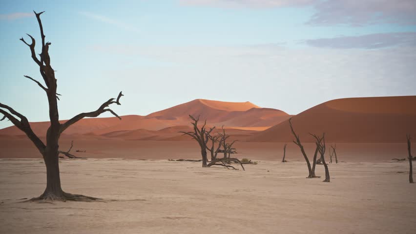 Deadvlei pan in Namibia featuring ancient dead camel thorn trees standing against towering red sand dunes of Namib Desert in Sossusvlei, Namib Naukluft National Park
