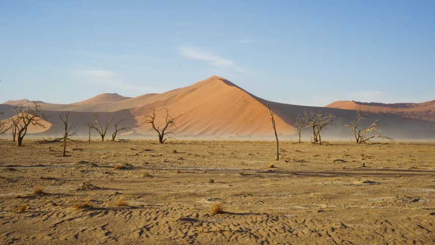 Iconic Dune 45 in Namib Desert with ancient dead acacia trees in foreground, famous landmark of the Namib Naukluft National Park in Sossusvlei, Namibia