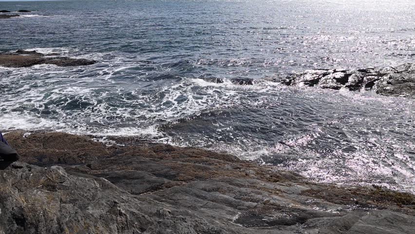 Rocky Pacific Coastline with Ocean Waves and Horizon, Vancouver Island Canada