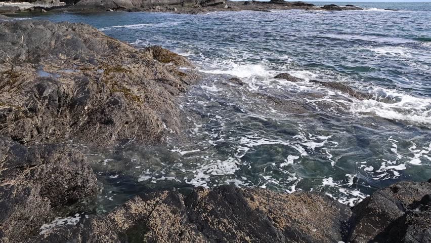 Rocky Pacific Coast with Forested Shoreline and Ocean Waves, Vancouver Island Canada