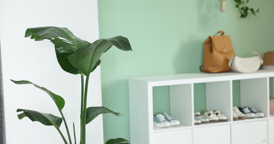 Shoe storage with different footwear, coats on rack and houseplants in hallway. Camera moving right