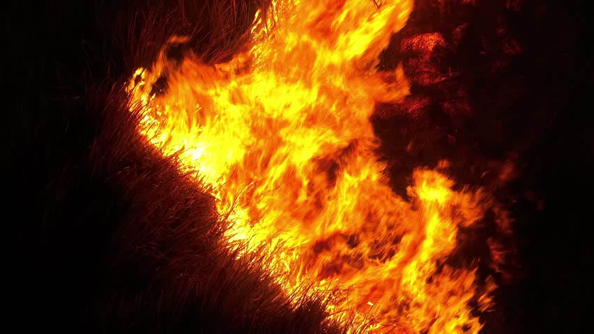 Aerial view of severe night forest fire with blazing flames reflects natural disaster threats, ecological damage, wildfire management challenges, and the urgency of protecting vulnerable landscapes.
