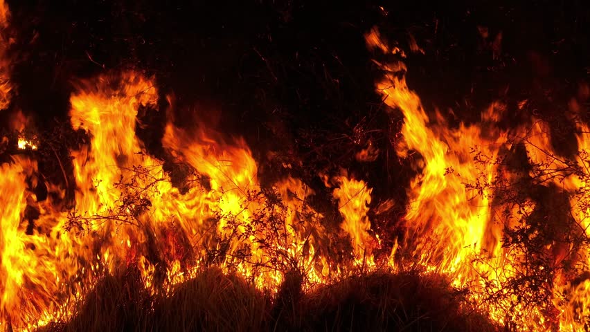 Aerial perspective of nighttime forest fire with raging flames reflects global warming impacts, ecosystem vulnerability, carbon emissions, and wildfire escalation driven by extreme climate patterns.
