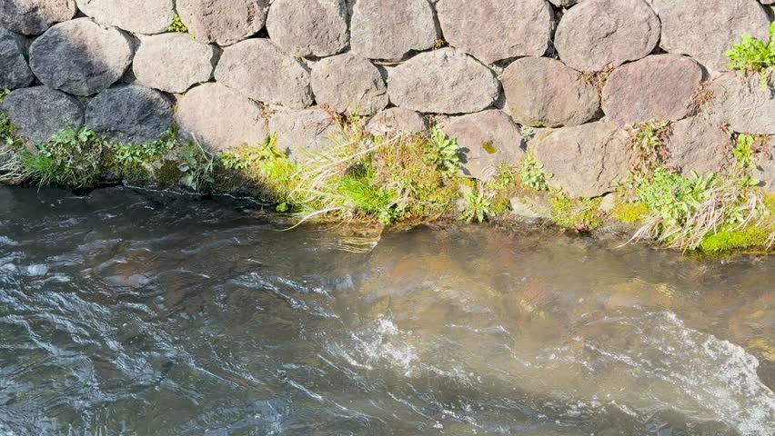 Static medium shot of clear water rushing past a traditional stone wall in bright sunlight