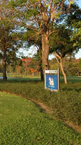 A slow panning shot reveals a vibrant green golf course fairway under bright sunlight