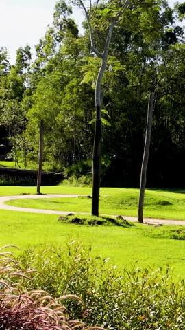 Wide shot of giraffes and zebras roaming a sunny, green wildlife park enclosure in Australia