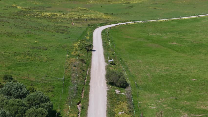 Aerial view of a winding dirt road through the green fields and pastures of Quinta do Pisao with grazing animals in Alcabideche, Lisboa, Portugal.