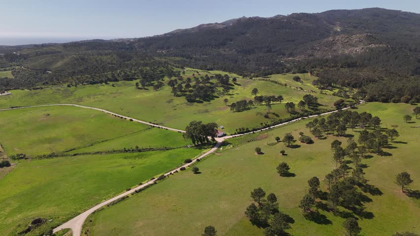 Aerial view of Quinta do Pisao featuring rolling green fields, scattered trees and a winding road under a clear sky in Alcabideche, Lisboa, Portugal.