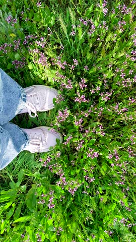 Person walking through a grassy field with purple wildflowers, casual spring stroll, nature connection, outdoor leisure, summer hiking