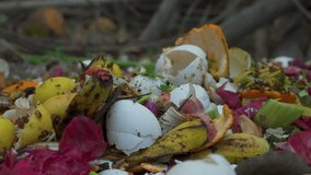 Close-up of organic kitchen waste compost pile with fruit peels, banana skins, eggshells and vegetable scraps on ground, highlighting food waste, recycling, and sustainability. Organic Compost. - Powered by Shutterstock - Get 15% off with code: PIKWIZARD15