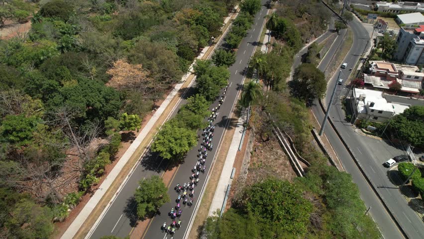 Aerial drone shot of a large group of cyclists riding together on a wide city avenue flanked by lush tropical trees and modern residential architecture during a bright sunny day
