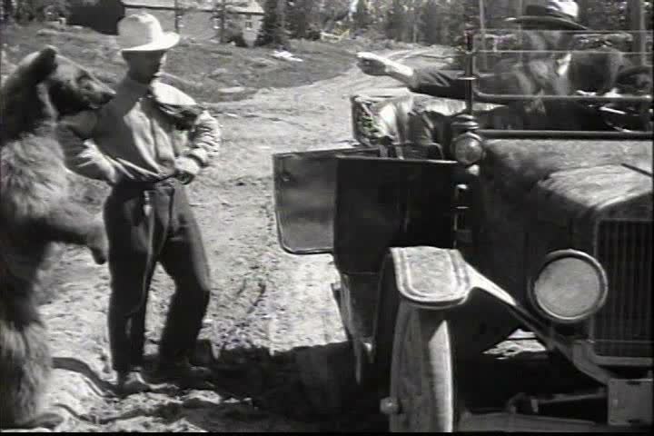 1920s - Campers feed a bear by hand in a National Park in 1920s coaxed off the railroad tracks.