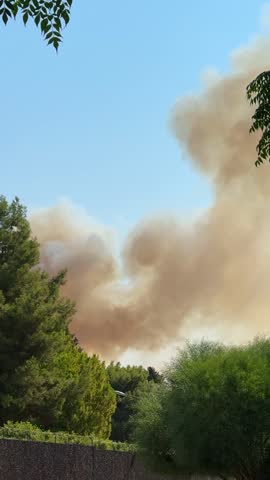 Dense gray smoke from a forest wildfire