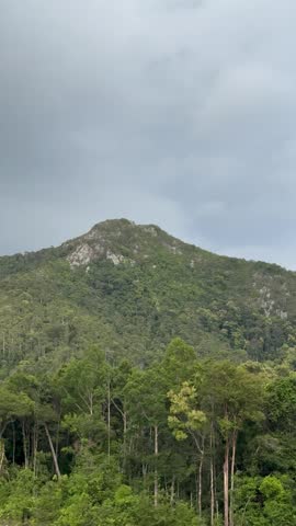 A mountain covered in green trees under a cloudy sky.