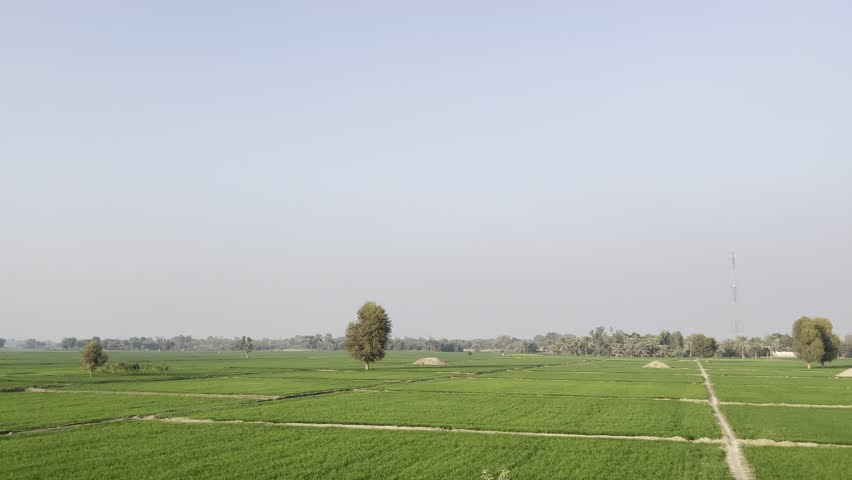 A drone video and high-angle panoramic view of expansive green agricultural fields with scattered trees under a clear, hazy horizon.