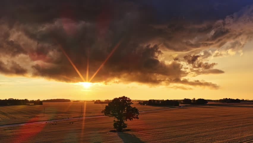 Dramatic sunset over open farmland with a lone tree, sunstar rays, and dark storm clouds creating a cinematic rural landscape in warm evening light.
