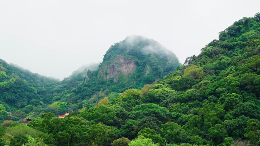 Mountains shrouded in clouds and white mist with cold air covering the forests and lush green trees