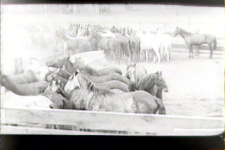 1920s - 1922 life on a cattle ranch.