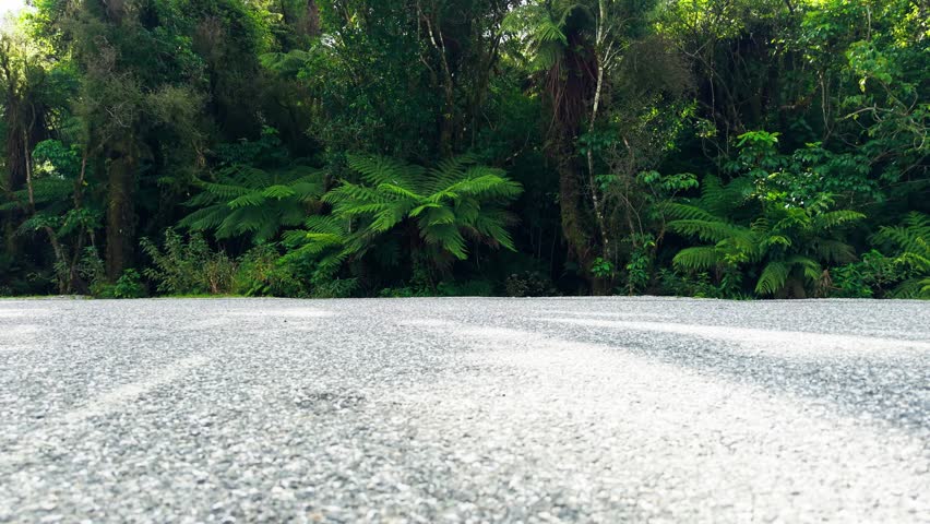 Roaring Billy Falls (Haast Pass)