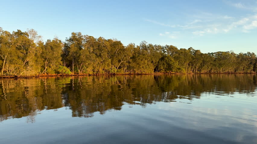 Beautiful early morning sun lighting the edge of a tree-lined shore along a calm Australian lake.