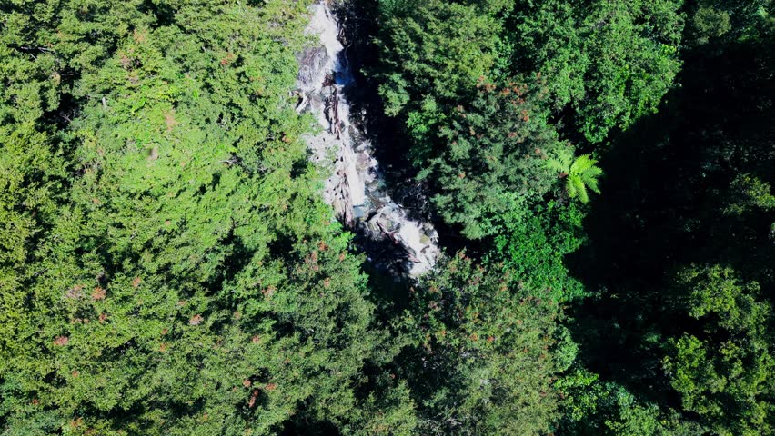 Thunder Creek Falls ( Haast Pass)
