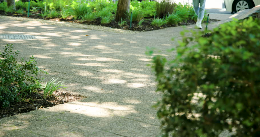 Paved walkway holding dappled light with bush at right as walkers are entering and passing through. Path, shade, trees, pedestrians, park, shrubs, sunlight