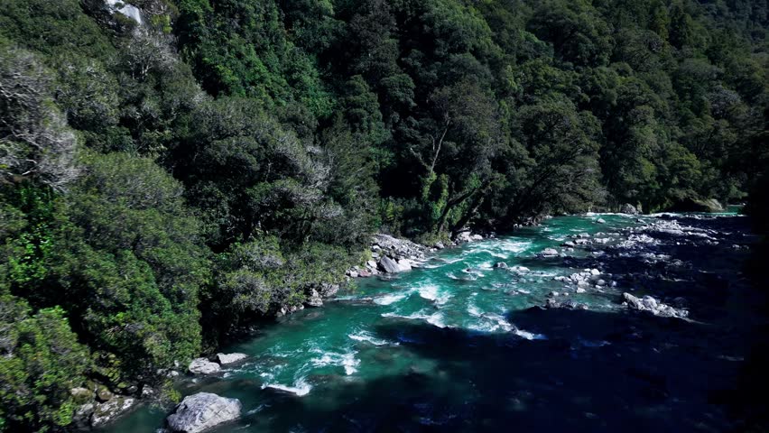 Thunder Creek Falls ( Haast Pass)