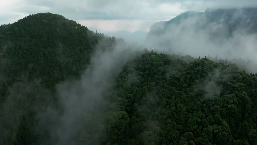Aerial view misty foggy mountain landscape with tropical rain forest