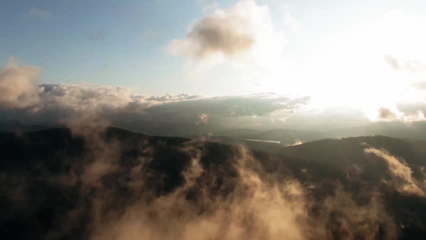 Sunrise over forest with fog creating soft dreamy natural landscape.