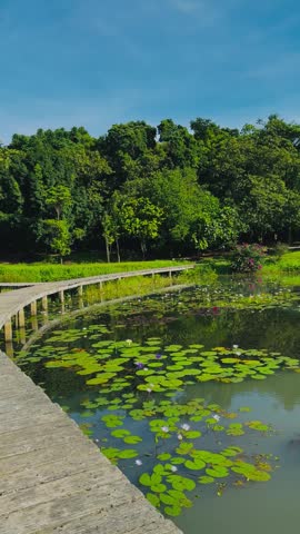 A portrait view of the natural scenery of the lake and the forest in the spring day.