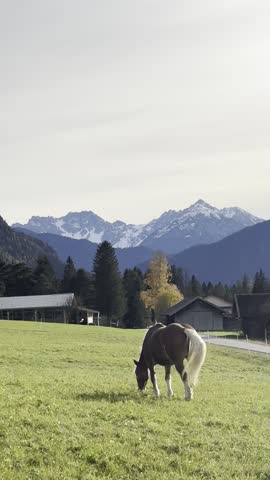 A beautiful brown horse with a white mane grazing on a lush green field in a mountain valley. In the background, majestic snow-covered peaks, pine forests, and traditional rural houses. Sun rays piercing through the clouds creating a peaceful and serene atmosphere in the Alps.