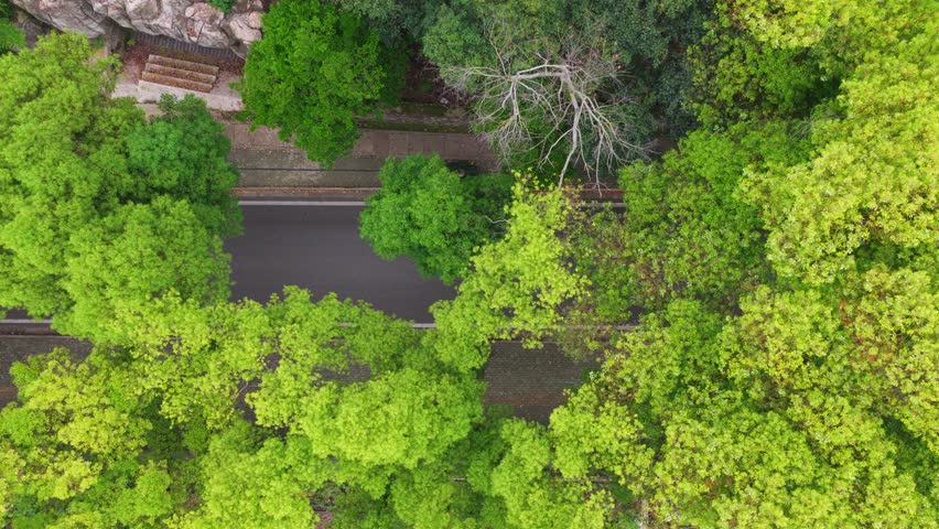 Spring Scenery of Guishan Scenic Area, Wuhan, Hubei, China